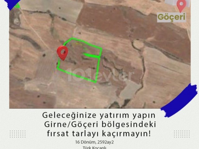 Investment Opportunity Field in Göçeri