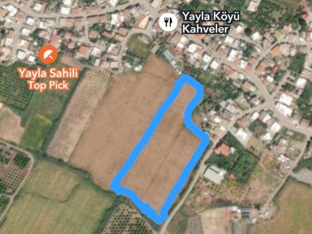 بخش 96 زمین برای فروش در منطقه GÜZELYURT YAYLA