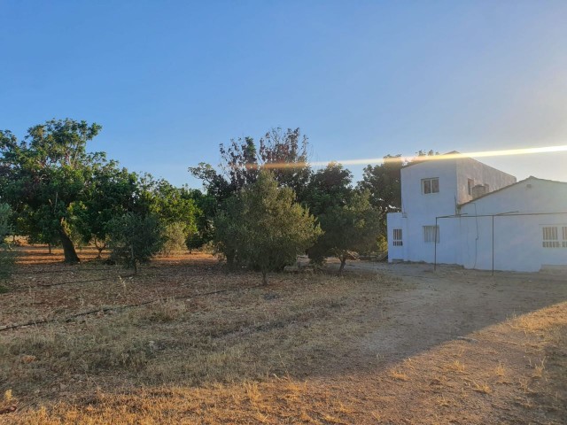 خانه مستقل برای فروش در یک قطعه 10 دکارتی در روستای محمد ارمیک ** 