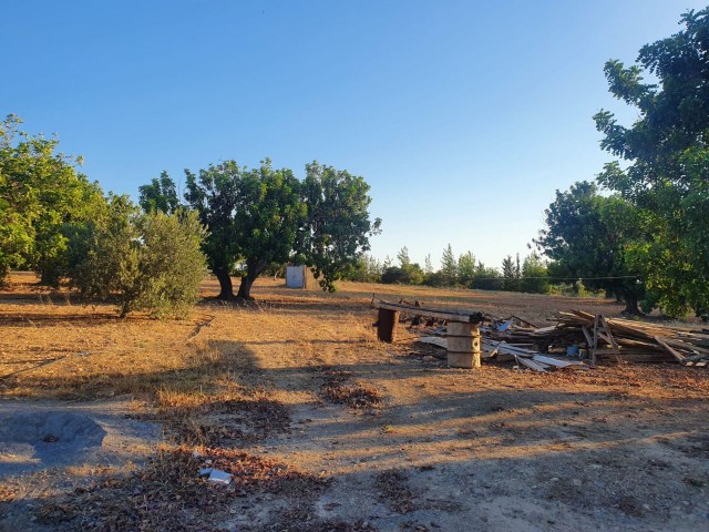 خانه مستقل برای فروش در یک قطعه 10 دکارتی در روستای محمد ارمیک ** 