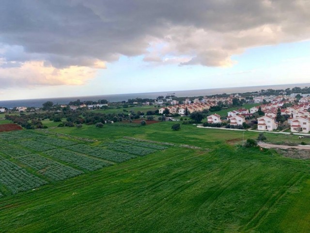 Garten 3+1. Sofort übergeben. ** 