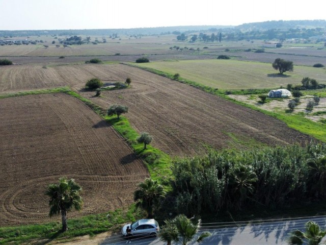 ÇAYIROVA BAFRA ANA YOLU ÜZERİ TİCARİ ARAZİ