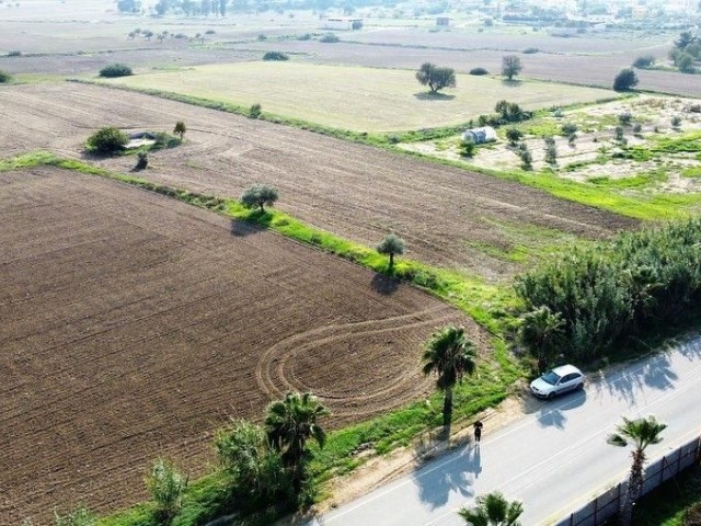 زمین تجاری در جاده اصلی CAYIROVA BAFRA