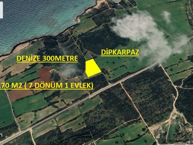 LAND FOR SALE IN DIPKARPAZ REGION