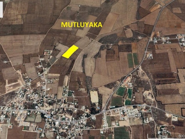 Land FOR SALE in Mutluyaka with 50% Development Ratio!