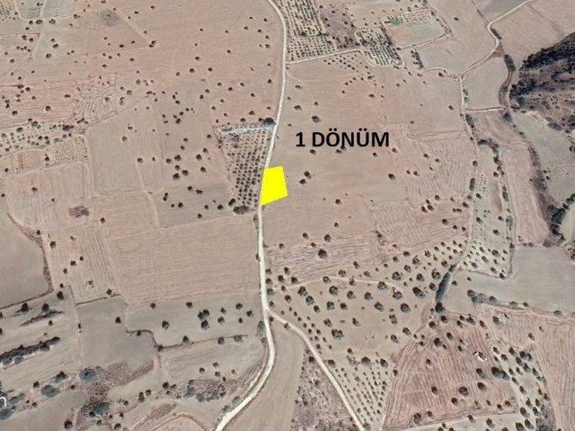 1 DONE LAND FOR SALE IN KİLİTKAYA REGION