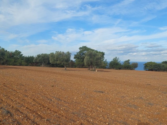 VILLA LAND WITH A UNIQUE VIEW IN KARAAĞAÇ