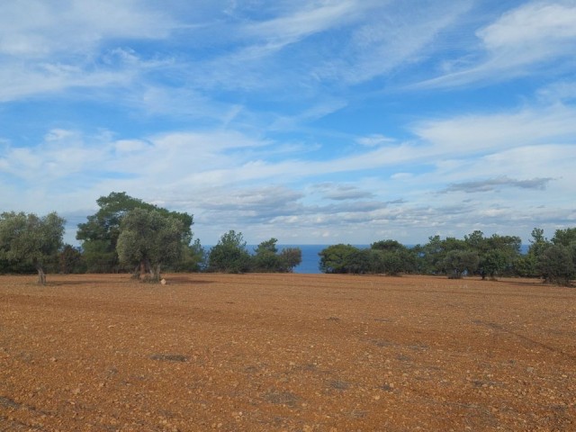 VILLA LAND WITH A UNIQUE VIEW IN KARAAĞAÇ