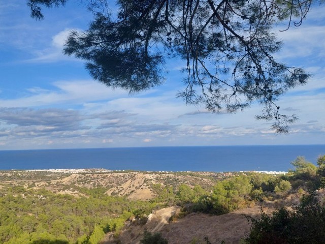 VILLA LAND WITH A UNIQUE VIEW IN KARAAĞAÇ