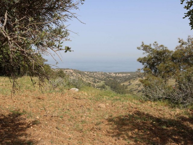 3 Donum Plot of Land in Karaagac