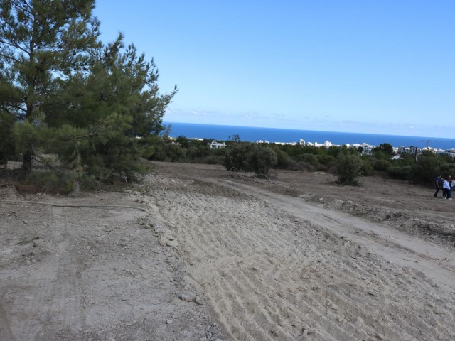 Land in Zeytinlik