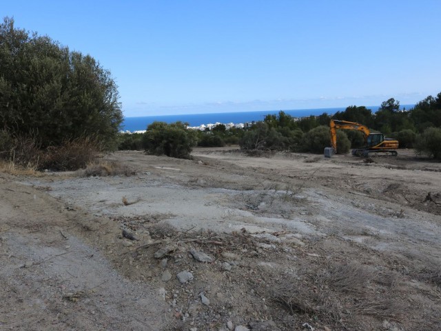 Land in Zeytinlik