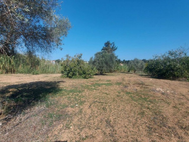 خانه ییلاقی برای فروش in Çamlıbel, گیرنه