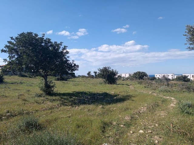 Large Plot of Land For Sale in Bahceli 