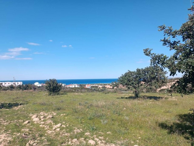 Large Plot of Land For Sale in Bahceli 