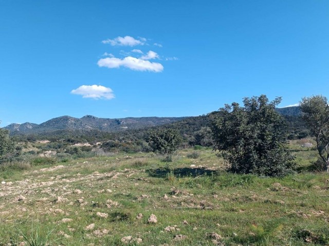 Large Plot of Land For Sale in Bahceli 