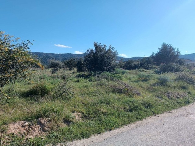 Large Plot of Land For Sale in Bahceli 