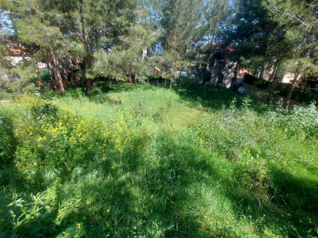 Plot Of Land For Sale In Catalkoy 