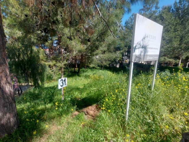 Plot Of Land For Sale In Catalkoy 