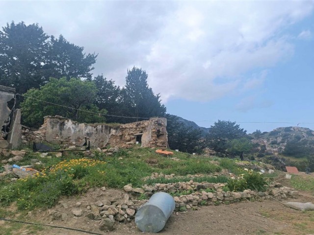 Plot For Sale in Alsancak 