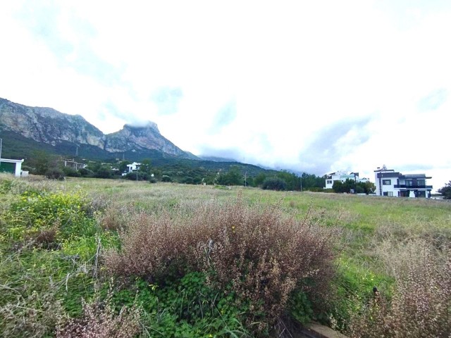 600m2 Plots For Sale in Zeytinlik 