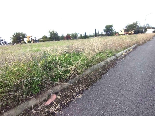 600m2 Plots For Sale in Zeytinlik 