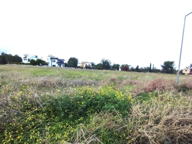 600m2 Plots For Sale in Zeytinlik 