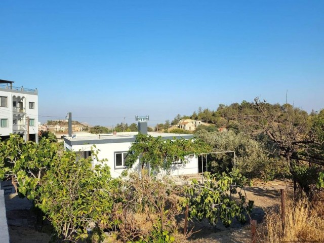 Einfamilienhaus Kaufen in Mallıdağ, Famagusta