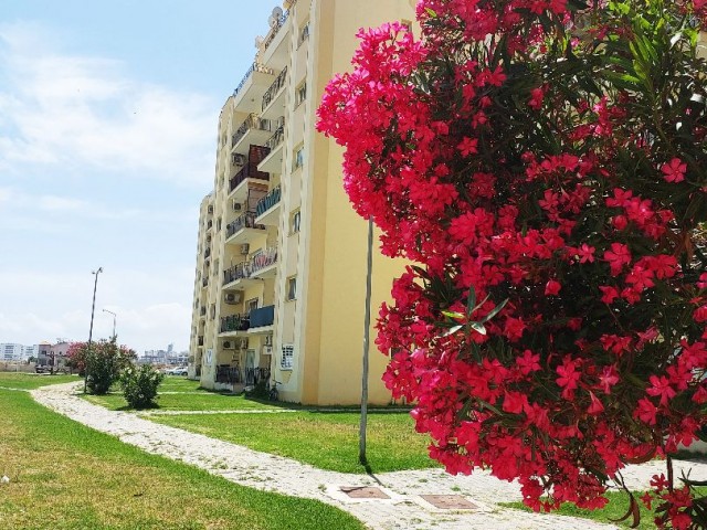 Apartment 2+1 on Long Beach with sea views