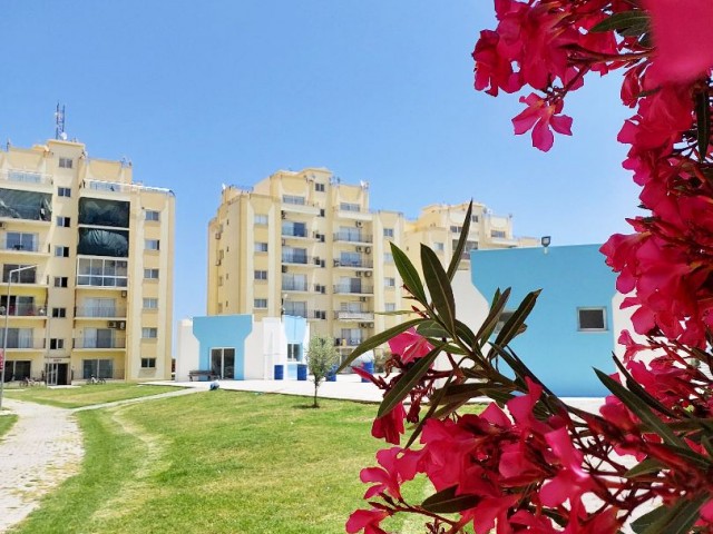 Apartment 2+1 on Long Beach with sea views