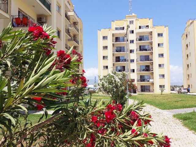 Apartment 2+1 on Long Beach with sea views