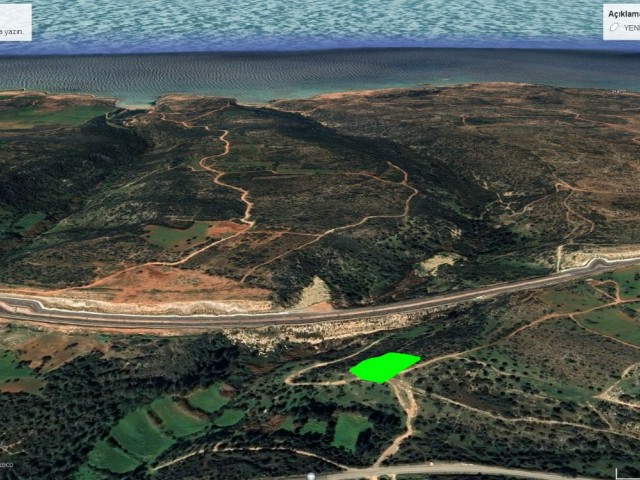 LAND FOR SALE IN YENİ ERENKÖY