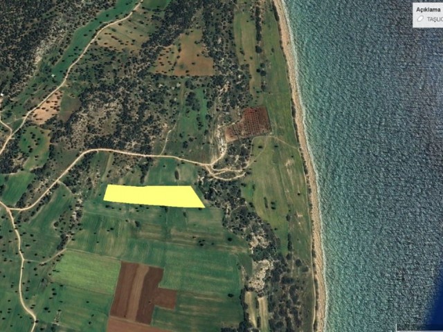 Land for Sale in İskele Taşlıca Area, 200 Meters from the Sea