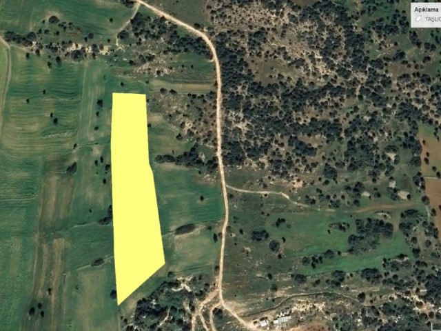 Land for Sale in İskele Taşlıca Area, 200 Meters from the Sea