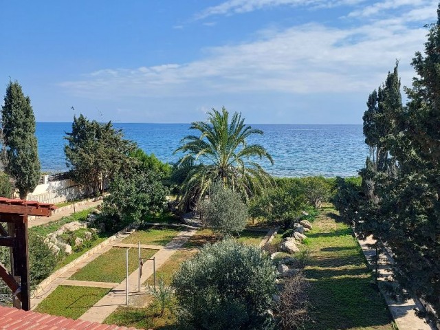 For rent large 4+1 villa by the sea, Bogaz district