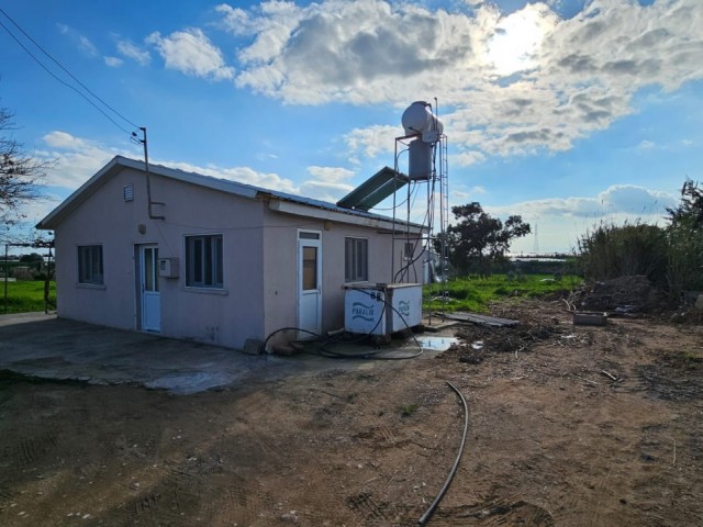 Freistehendes Haus zum Verkauf mit großem Garten in der Region Famagusta Maraş