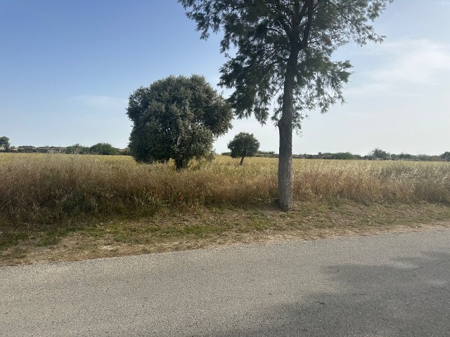 WOHNGRUNDSTÜCK ZUM VERKAUF IN DER REGION AKOVA