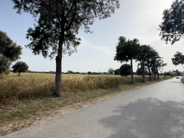 WOHNGRUNDSTÜCK ZUM VERKAUF IN DER REGION AKOVA