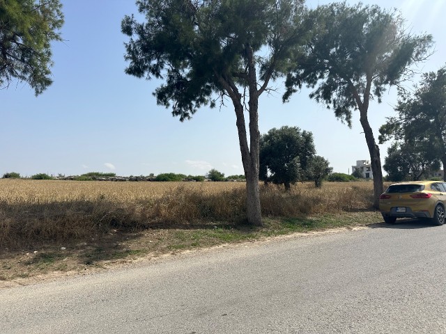 Residential Zoned Plot For Sale in Akova, Famagusta