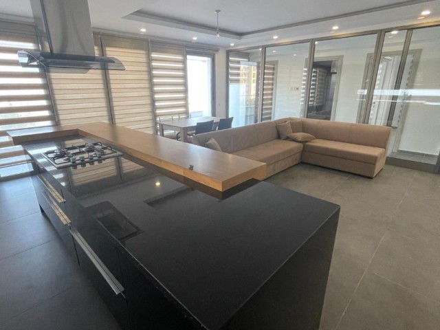 LUXURIOUS PENTHOUSE 3+1 FLAT IN NEW PORT AREA