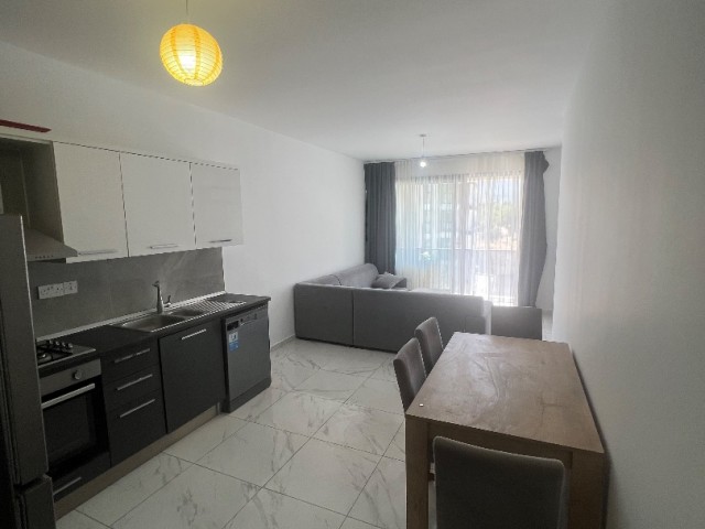 SPACIOUS 2+1 FLAT FOR RENT IN THE CENTER OF KYRENIA