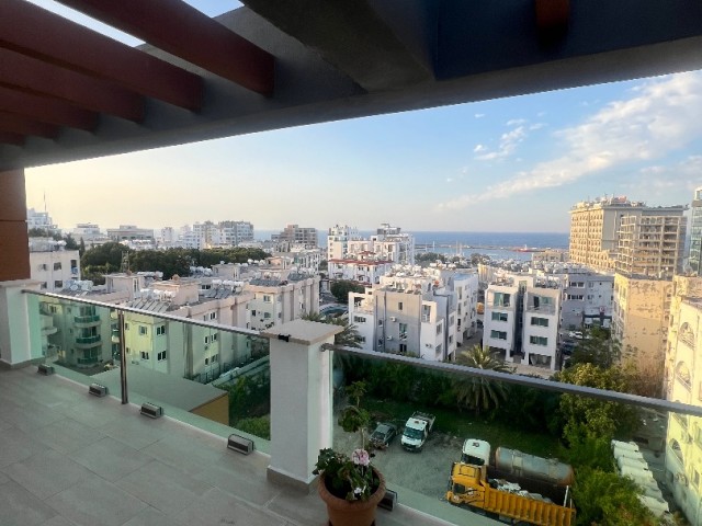 LUXURY PENTHOUSE APARTMENT IN NEW PORT AREA