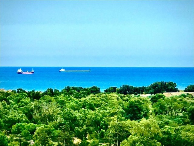 Eben Kaufen in Yeni Boğaziçi, Famagusta