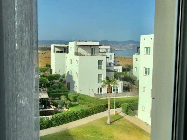 2+1 Penthouse in Morphou from owner