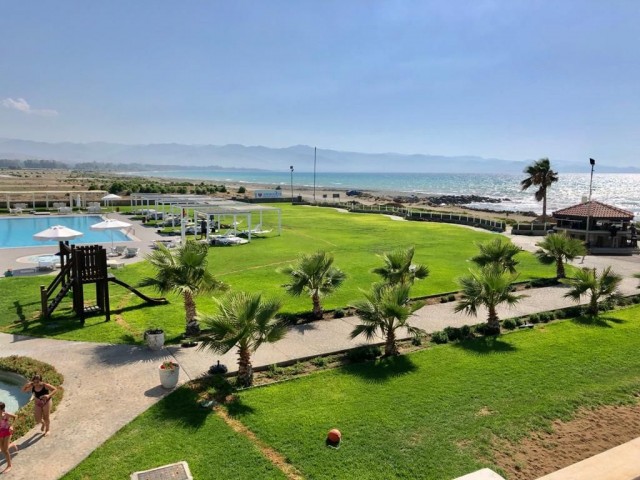 The complex is located on the very shore of an excellent Mediterranean beach and swimming pools, including the beach and pools, including the one and the same toycost, while the excellent place to stay and rent. They promise to build a health and wellness center in two years. The apartment is locate