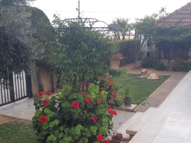 3+1 TWIN VILLA with LARGE garden for sale in Nicosia Cihangir