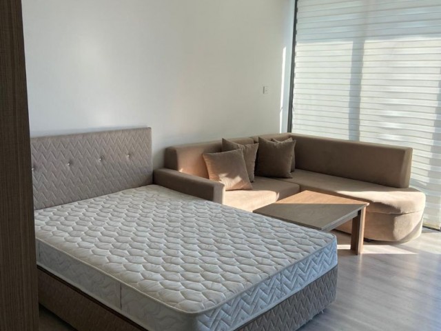 Studio opposite EMU 350$