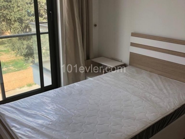 Specious 2+1 for rent in Sakarya 600$