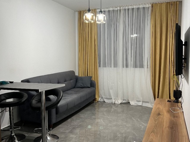 luxury 1+1 in salamis 450$ for yearly contract