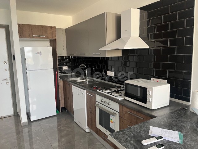 Luxury 1+1 flat in salamis ,450$ monthly year or 4months contract 